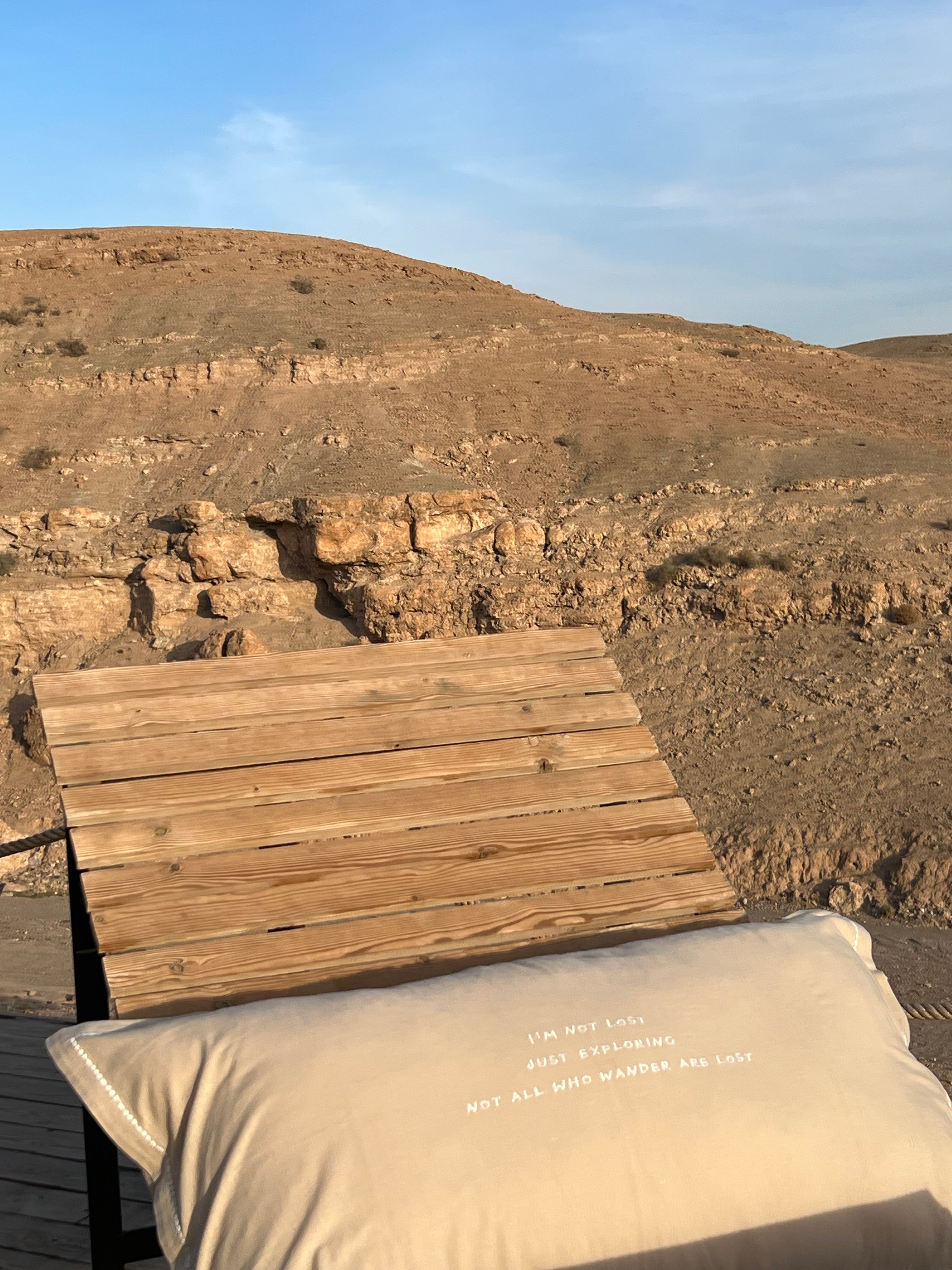 Linnen Pillow + Filling | I'm Not Lost | Natural